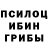 Псилоцибиновые грибы Magic Shrooms Eli Aron
