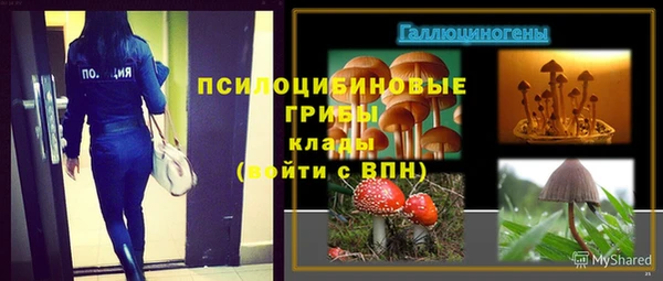 MDMA Premium VHQ Вяземский