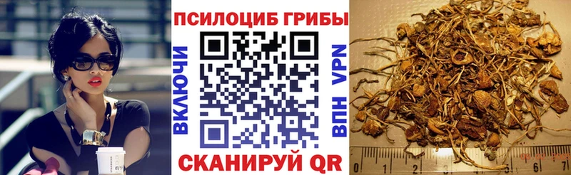 Псилоцибиновые грибы Psilocybine cubensis  Кемерово 